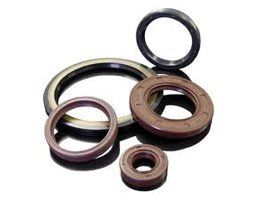 Oil & Grease Seals